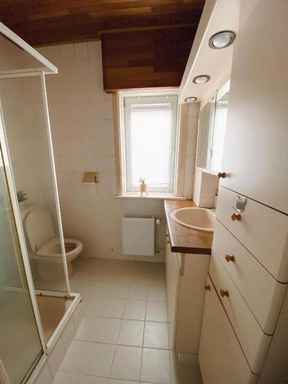 Big Sunset 2 Bedroom House With A Garden Antwerpia Zewnętrze zdjęcie
